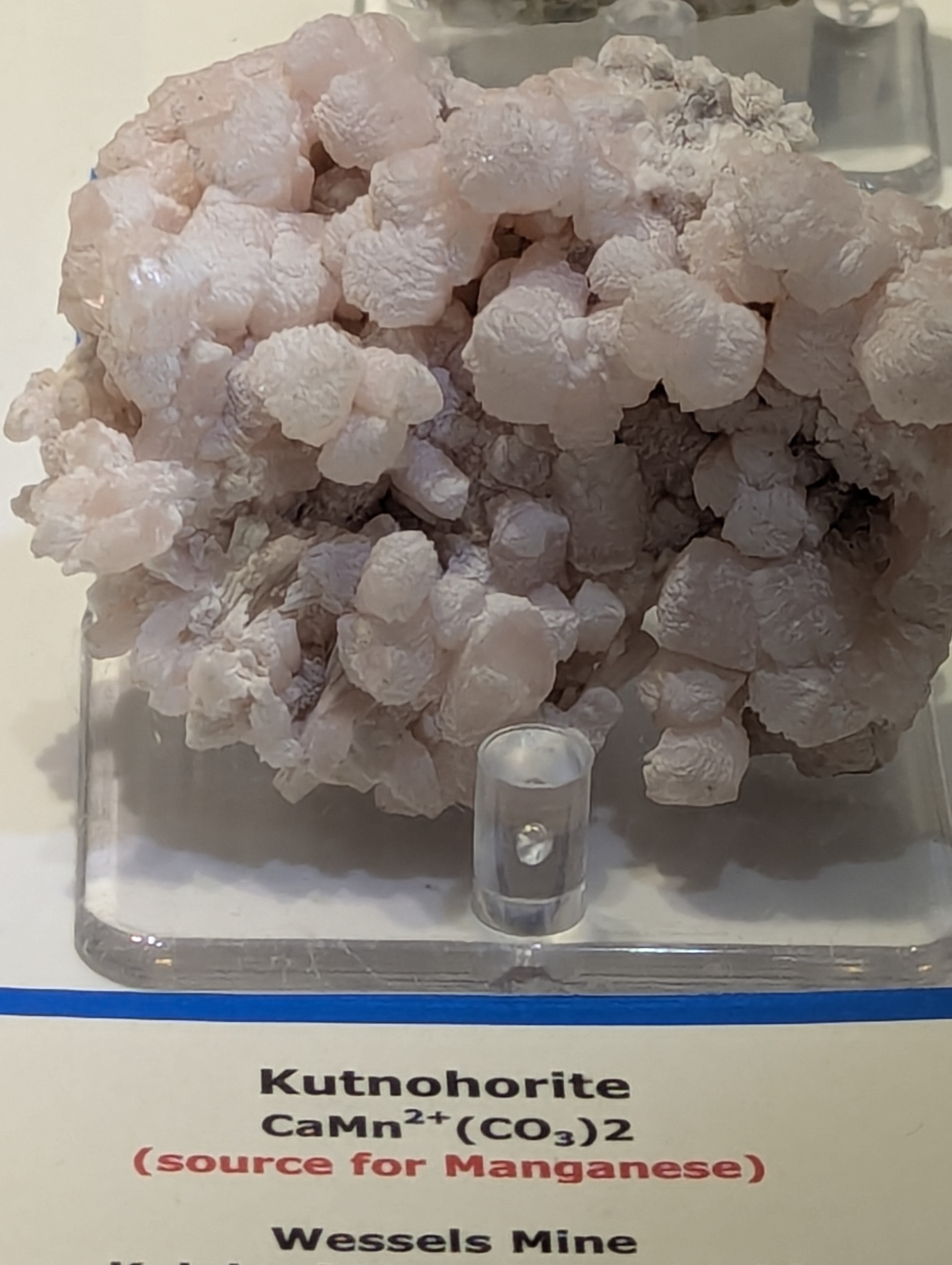 Colorado School of Mines, Geology Museum